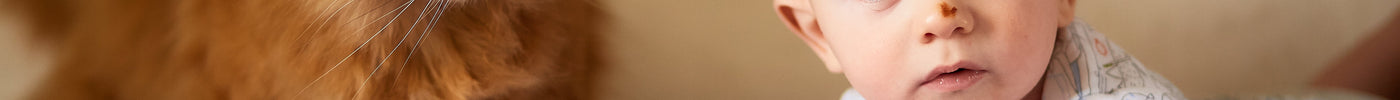 Wie Sie Ihre Katze sicher an Ihr Neugeborenes gewöhnen